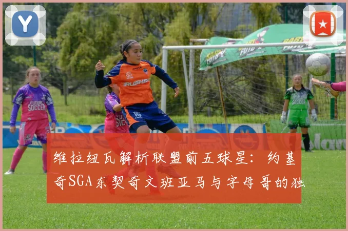 维拉纽瓦解析联盟前五球星：约基奇SGA东契奇文班亚马与字母哥的独特魅力