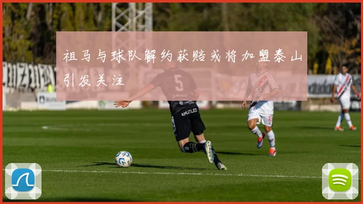 祖马与球队解约获赔或将加盟泰山引发关注