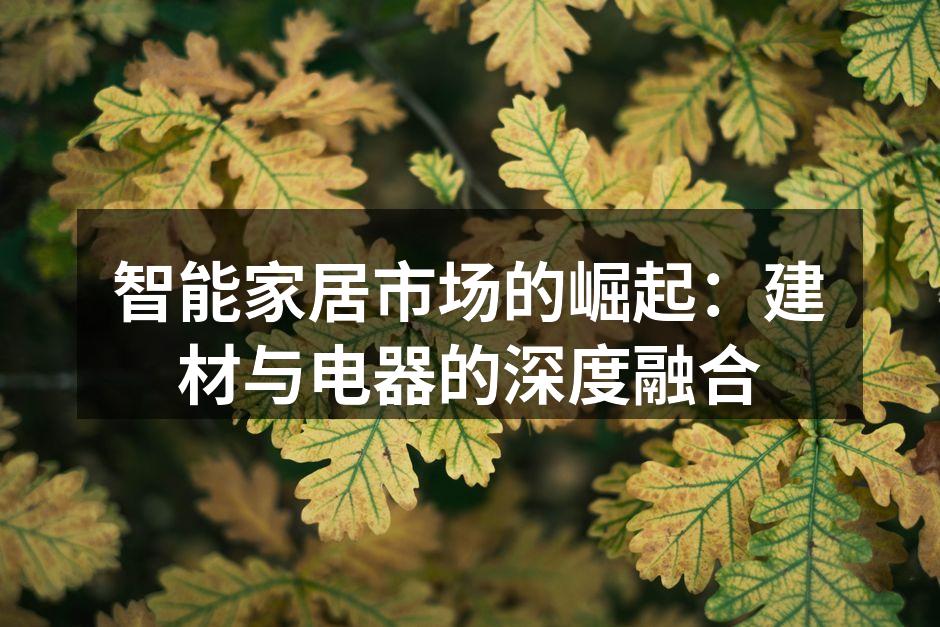 智能家居产品展示